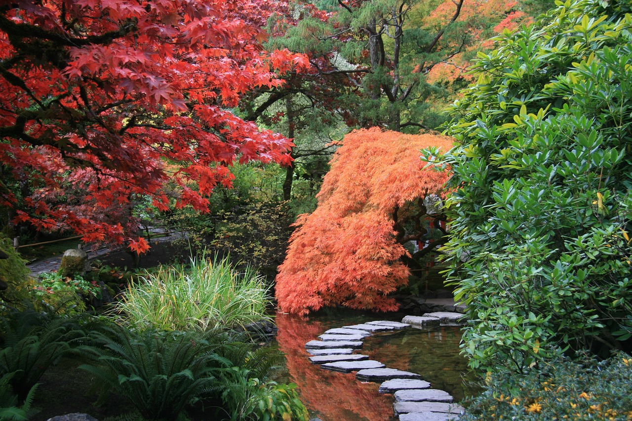 Japánkert, a szívünk csücske