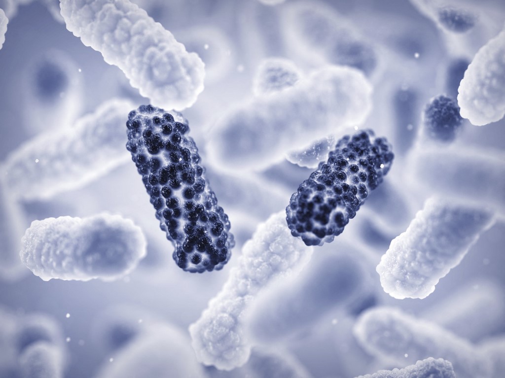 Az antibiotikum ellenállásáért felelős DNS-szakaszt azonosítottak a szalmonellában