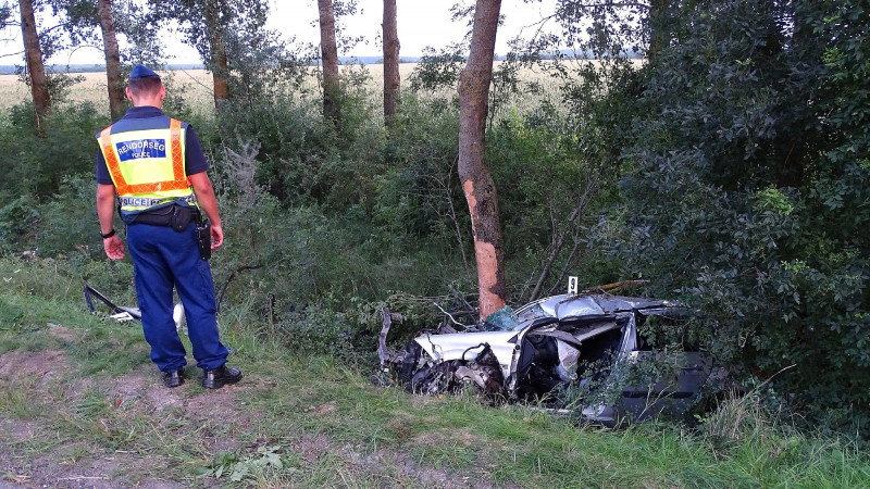Meghalt egy autós, aki fának ütközött Békésben